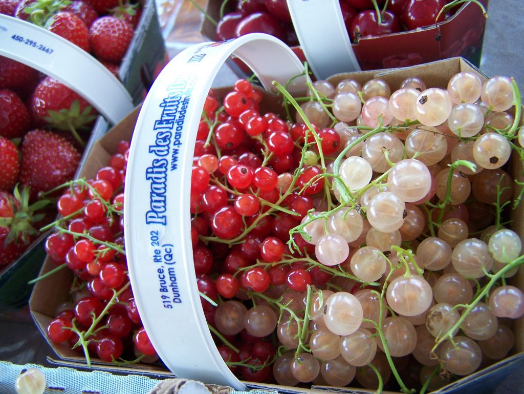 Paradis des Fruits Dunham, autocueillette, ecologique, verger, Fraise, framboise, bleuet, cassis, groseille, gadelle, cerise griotte, mure, pomme, poire, prune, miel, fleur, Honeycrisp, Les Miels Naturels Charbonneau, producteur, petits fruits, agrotourisme, produit du terroir, eco-friendly, orchard, pick your own, u-pick, Strawberry, raspberry, blueberry, black currant, gooseberry, sour cherry, blackberry, apple, pear, plum, honey, flower, berry, environmentally friendly, producer, local product, produit local, cantons de l’est, eastern township, monteregie, bleuetiere