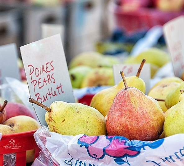 Paradis des Fruits Dunham, autocueillette, ecologique, verger, Fraise, framboise, bleuet, cassis, groseille, gadelle, cerise griotte, mure, pomme, poire, prune, miel, fleur, Honeycrisp, Les Miels Naturels Charbonneau, producteur, petits fruits, agrotourisme, produit du terroir, eco-friendly, orchard, pick your own, u-pick, Strawberry, raspberry, blueberry, black currant, gooseberry, sour cherry, blackberry, apple, pear, plum, honey, flower, berry, environmentally friendly, producer, local product, produit local, cantons de l’est, eastern township, monteregie, bleuetiere