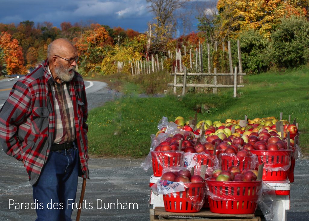 Paradis des Fruits Dunham, autocueillette, ecologique, verger, Fraise, framboise, bleuet, cassis, groseille, gadelle, cerise griotte, mure, pomme, poire, prune, miel, fleur, Honeycrisp, Les Miels Naturels Charbonneau, producteur, petits fruits, agrotourisme, produit du terroir, eco-friendly, orchard, pick your own, u-pick, Strawberry, raspberry, blueberry, black currant, gooseberry, sour cherry, blackberry, apple, pear, plum, honey, flower, berry, environmentally friendly, producer, local product, produit local, cantons de l’est, eastern township, monteregie, bleuetiere