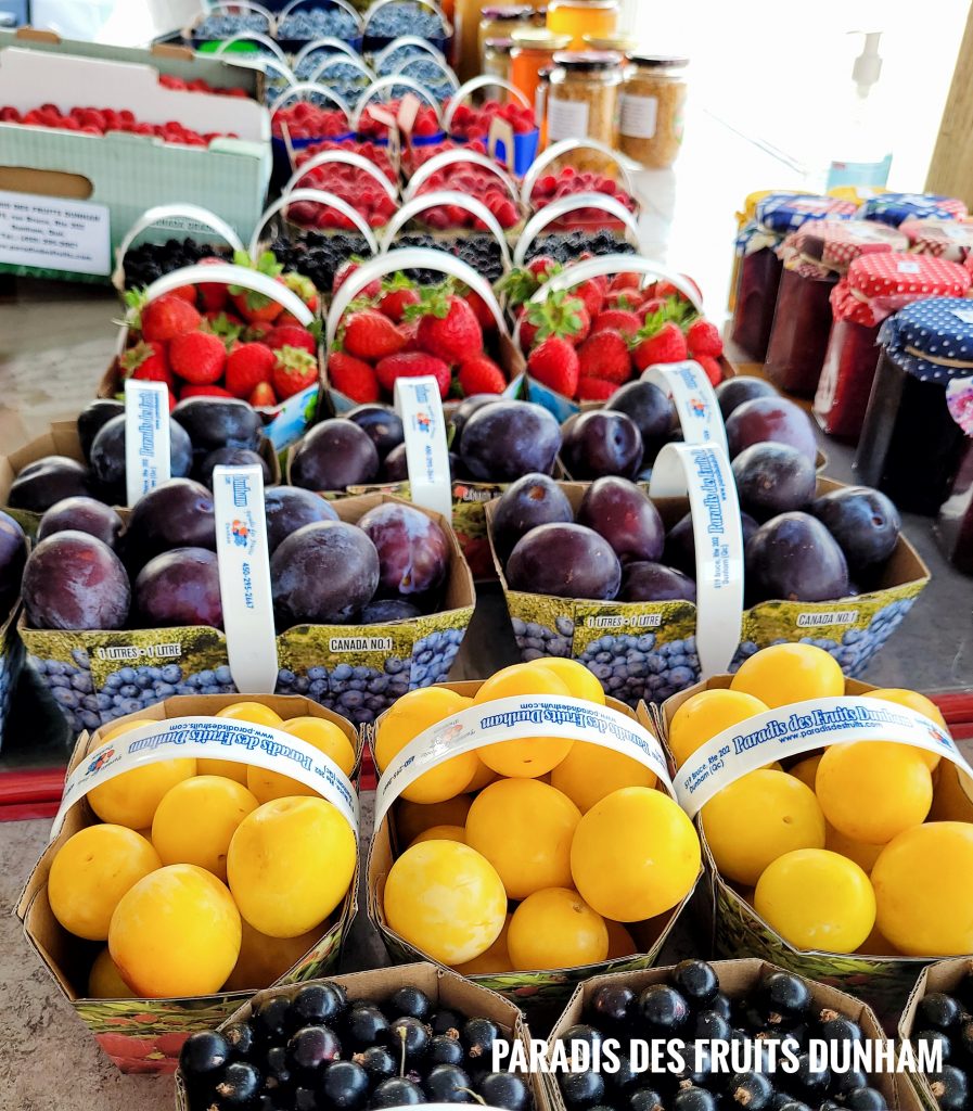 Paradis des Fruits, ecologique, eco-friendly, autocueillette, u-pick, framboise, raspberry, cassis, bleuet, blueberry, fraise, prune, plum